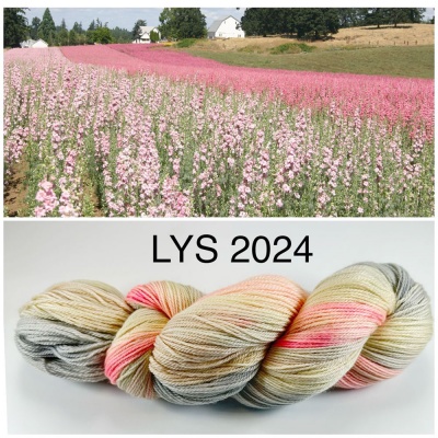 ArtYarns Special 2024 LYS Day Colorway