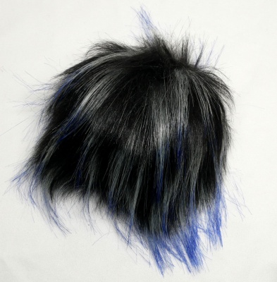 Northern Raven
