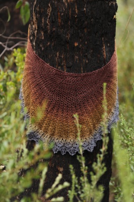 Nim's original shawl